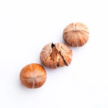 Chopped hazelnuts, a pair of nuts lying side by side, on a white background,  Stock Photos