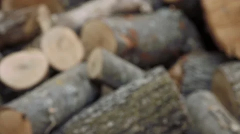 Chopped Logs Close Up Rack Focus Stock Footage 46216716