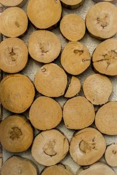 Chopped Logs Stock Photos