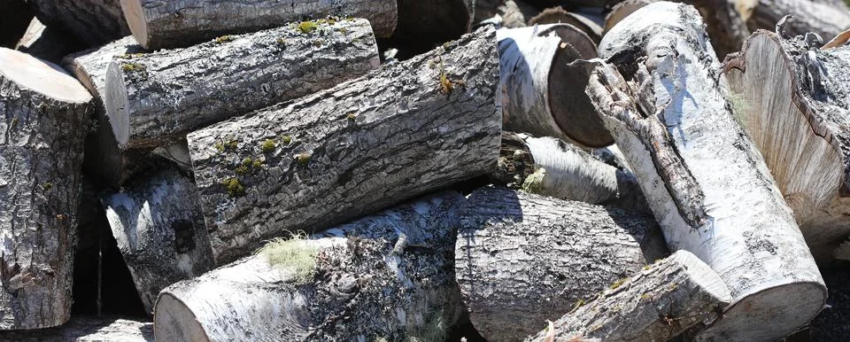 Chopped logs Stock Photos