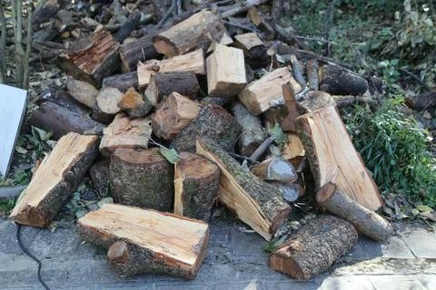Chopped logs pile on stone surface near greenery 스톡 사진