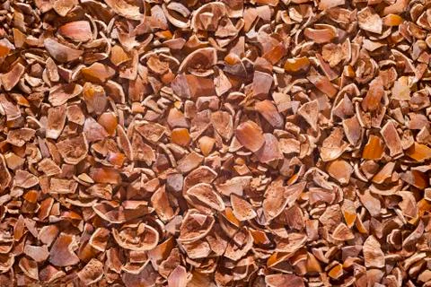 Chopped nuts shells background Stock Photos