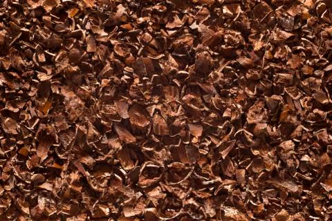 Chopped nuts shells background Foto stock