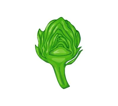 Chopped organic artichoke Stock Illustration