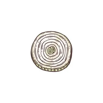 Chopped ring shape of onion, hand drawn sketch vector illustration isolated.. Stock Illustration