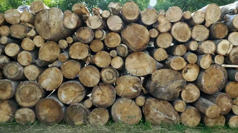Chopped sawn trunks of trees is stacked in a large log woodpile in the yard. 4K 库存影片 107943655