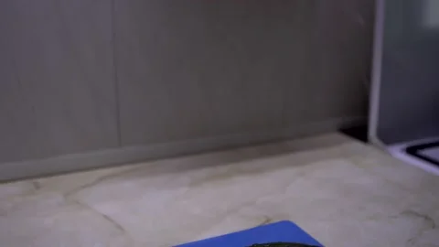 Chopped slices of cucumber. Stock Footage 130184842