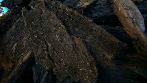 Chopped Tree Bark Stock-Footage 103978949