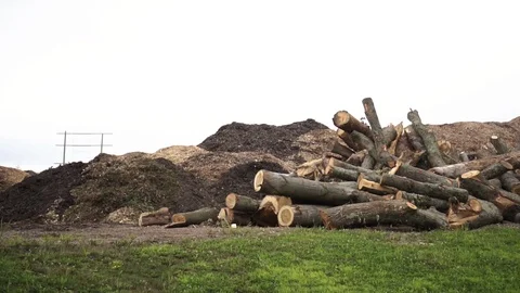 Chopped trees and mulch in huge piles on a farm Stock Footage 87270256
