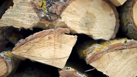 Chopped trunks of trees stacked in a large log woodpile in the yard. Stacked Vídeo Stock 116343747