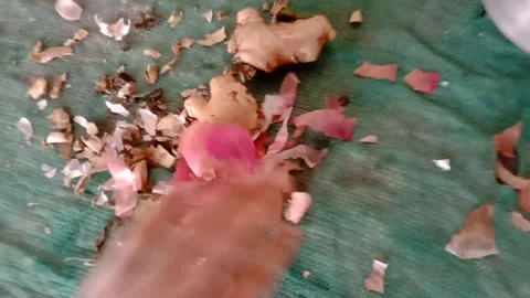 Chopped Vegetable Scraps and Kitchen Food Waste Collected After Food Preparation 스톡 동영상 347449406