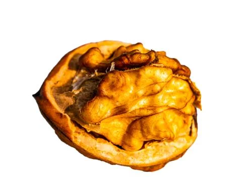 Chopped walnut fruit on a white background. Stock Photos