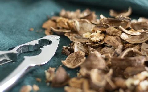 Chopped walnuts, shell and nutcracker on the table Stock Photos
