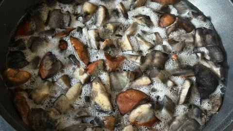 Chopped wild forest mushrooms boiling in a large pot with white foam on the Stock Photos
