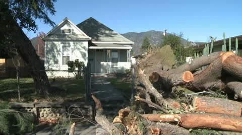 Chopped Wood Video stock 10791656