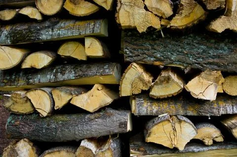 Chopped wood. Stock Photos
