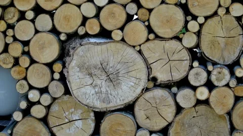 Chopped wood tree pattern zooming out with other stacked timber backgrounds 库存影片 272785797