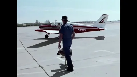 Chopper and his handler Paul Thomas search a private aircraft and its passengers 스톡 동영상 79424402