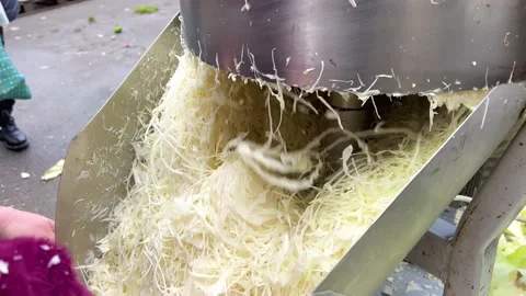 Chopper cutting cabbage Stock Footage 219965375