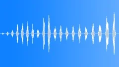 Chopper short Sound Effect