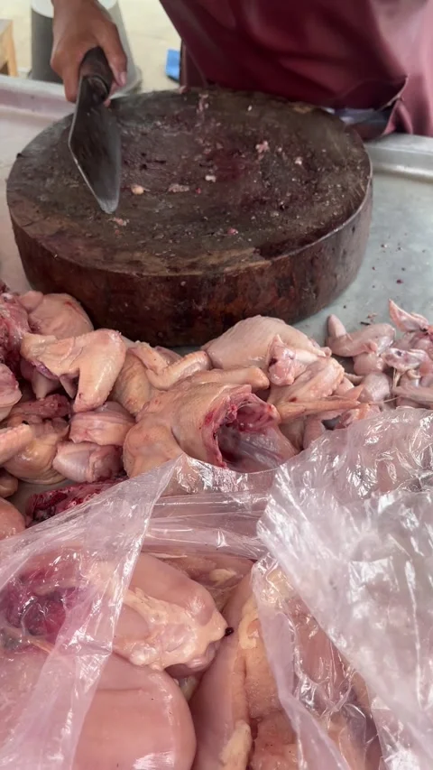 Chopping and preparing raw chicken pieces at a wooden cutting board Stock Footage 333306866