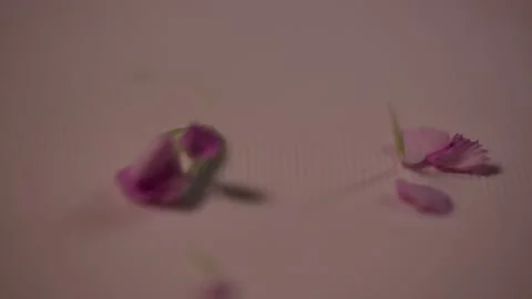 Chopping board (1) Stock Footage 202153100