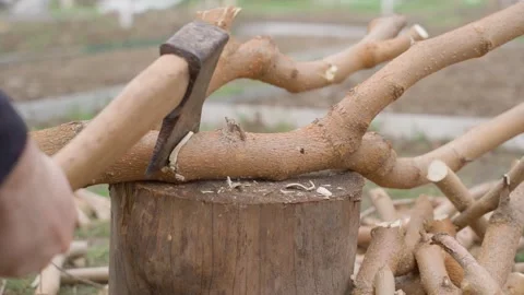 Chopping branch with axe on tree stump close-up. Cutting wooden stick on 스톡 동영상 342736281
