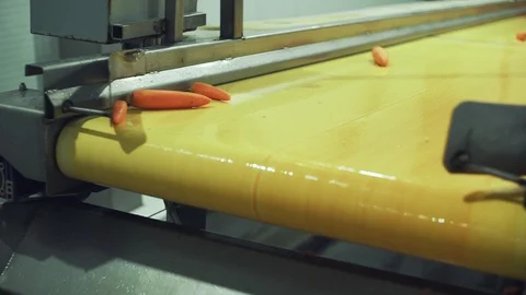 Chopping Carrots in a vegetable processing plant. Modern plant for carrot Stock Footage 129265355