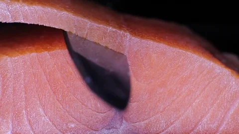 Chopping of chilled salmon  Stock Footage 82793013
