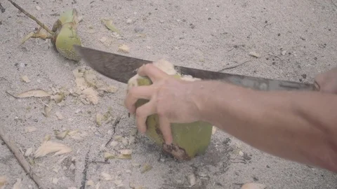 Chopping a cocunut with a machete Stock Footage 85413317