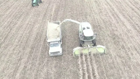 Chopping Corn 4k Vídeos de archivo 117989740