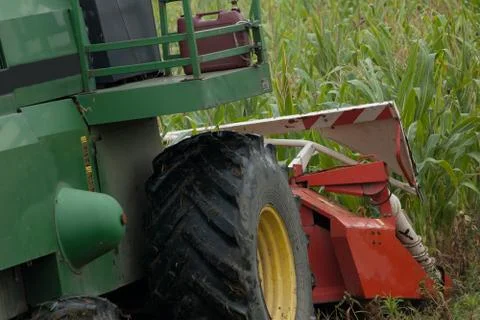Chopping corn device heading to the field Stock Photos