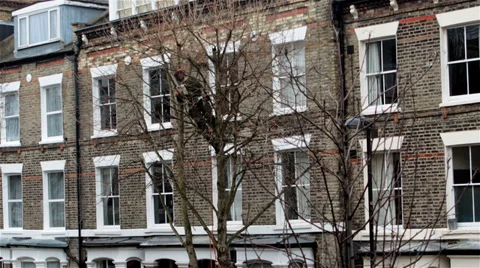 Chopping down a tree Stock-Footage 38004344