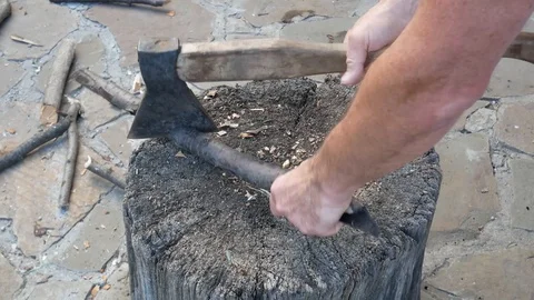 Chopping dry tree branch with axe Stock Footage 113742708