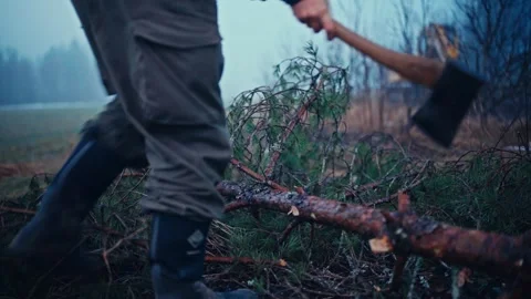 Chopping Fallen Tree Branch Stock Footage 337992620