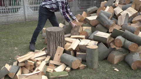 Chopping firewood in yard Stock Footage 293237935