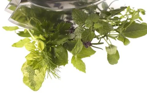 Chopping fresh herbs. Stock Photos