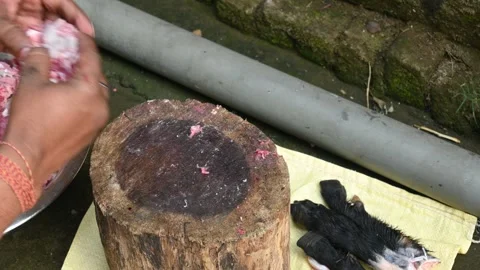 Chopping goat meat. Vídeo Stock 311509593