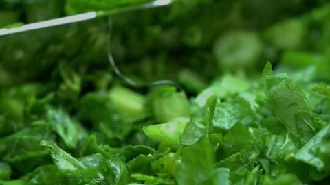 Chopping greens leafy or sarson ka saag Stock Footage 274399852