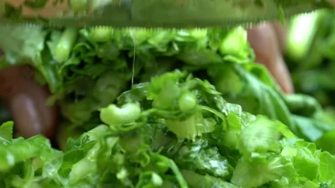 Chopping greens leafy or sarson ka saag Stock Footage 274399886