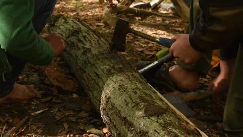 Chopping a Log 動画素材 216043680