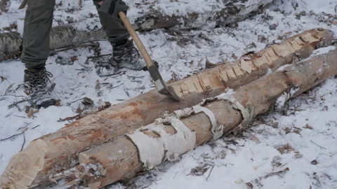 Chopping Logs with an Axe in a Snowy Forest Stock Footage 307860403