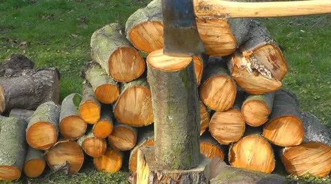 Chopping logs for firewood Stock Footage 12448238