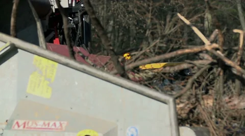 Chopping machine is pulling the tree towards the saws Stock Footage 33739601