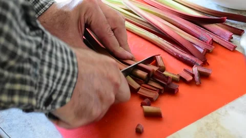 Chopping rhubarb stalks Stock Footage 171249005