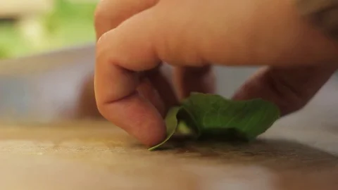 Chopping salad leave Stock Footage 74502368