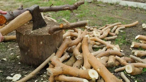 Chopping tree branches with axe on wooden stump in yard Stock Footage 341406929