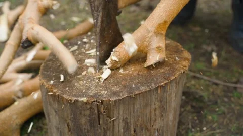 Chopping tree branches with axe on wooden stump in yard Stock Footage 341406949