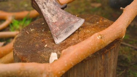 Chopping tree branches with an axe on a wooden stump close-up Video stock 342811997