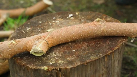 Chopping tree branches with axe on wooden stump close-up 動画素材 342941572